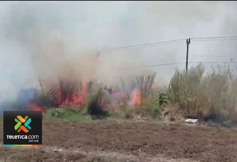 Video: Incendio en charral complica tránsito por la General Cañas