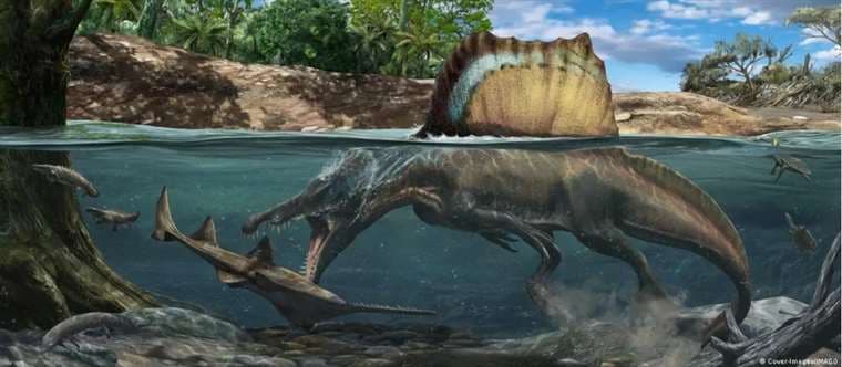 ¿El dinosaurio más polémico? Nuevo estudio asegura que el espinosaurio no buceaba para cazar