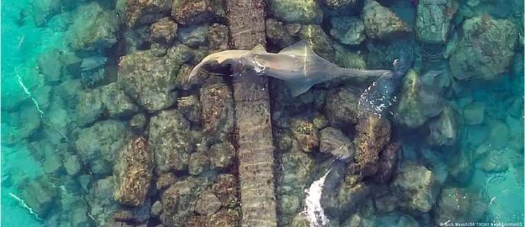 Imagen: Rich West/USA TODAY Network/IMAGO