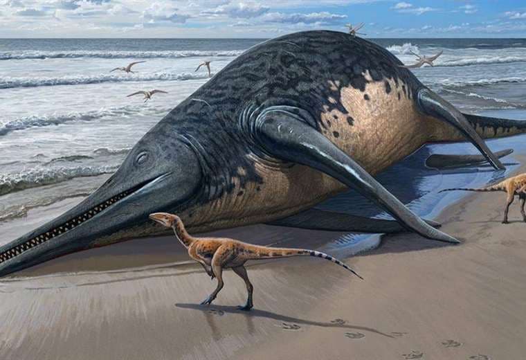 Antiguo reptil marino del tamaño de dos autobuses fue hallado en una playa en Reino Unido