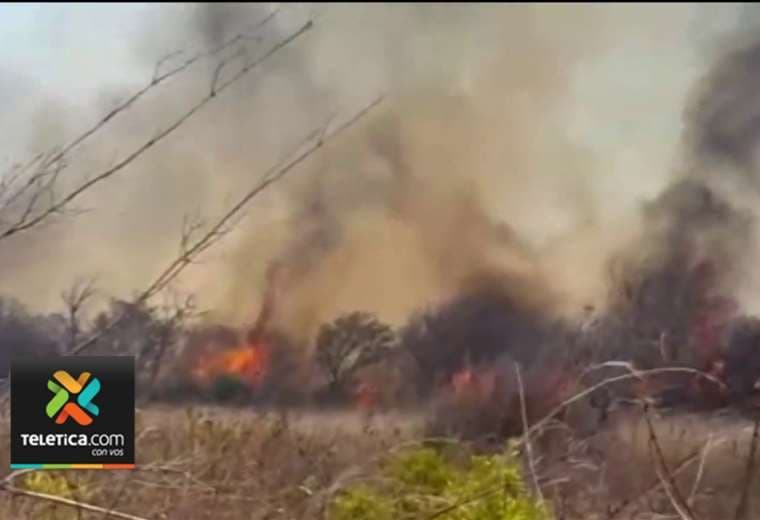 Incendio forestal consumió 150 hectáreas en Talamanca