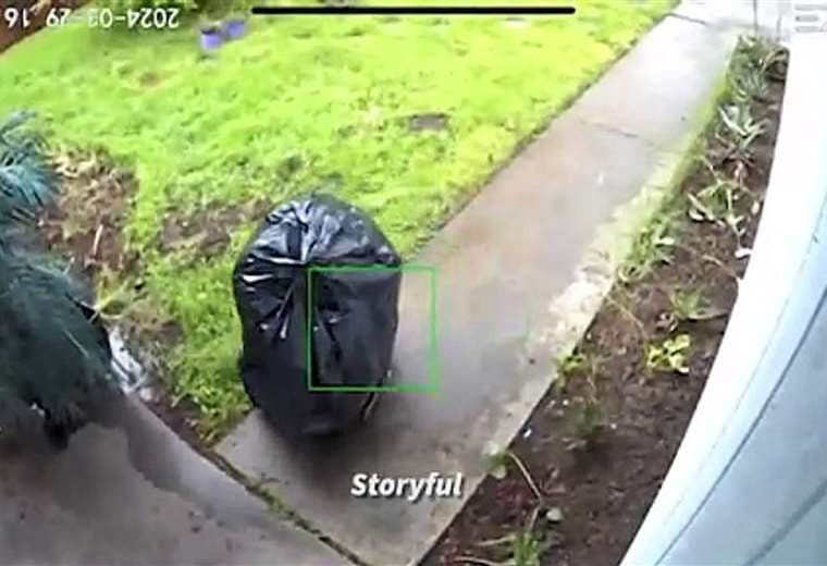 ¡Insólito! Ladrón se viste de bolsa de basura para robar paquete de una casa