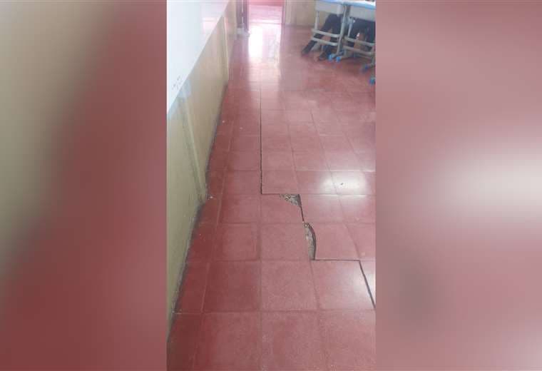 Plaga de ratas y cucarachas invaden escuela Rincón Grande de Pavas