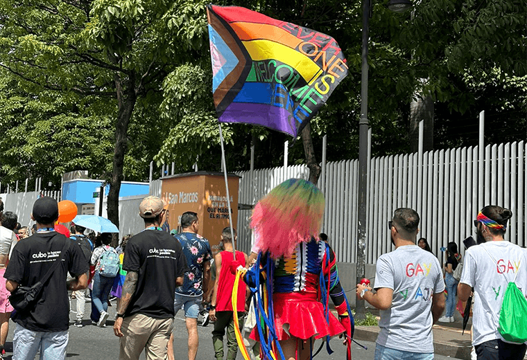 Marcha de la Diversidad 2024, fotografias compartidas por la periodista Nayuribe Vargas