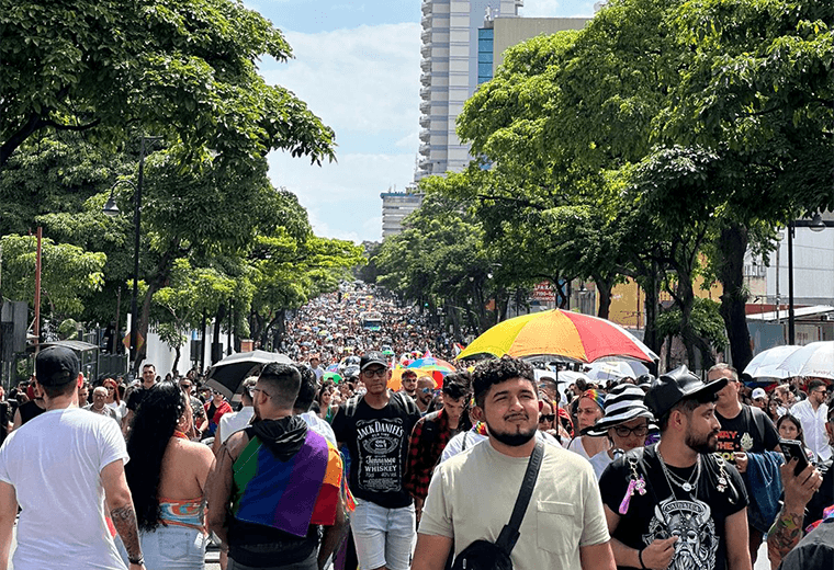 Marcha de la Diversidad 2024, fotografias compartidas por la periodista Nayuribe Vargas