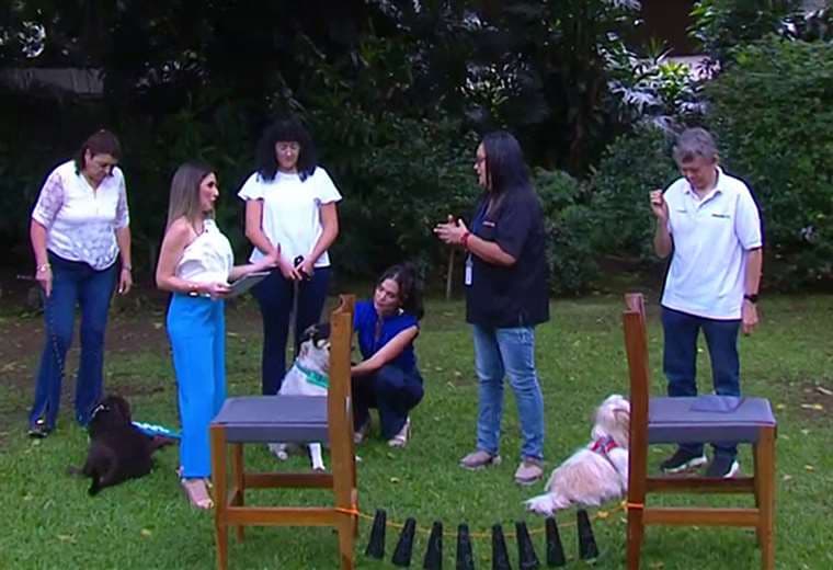 Su perro merece lo mejor: Aprenda tres conductas clave para garantizar su felicidad