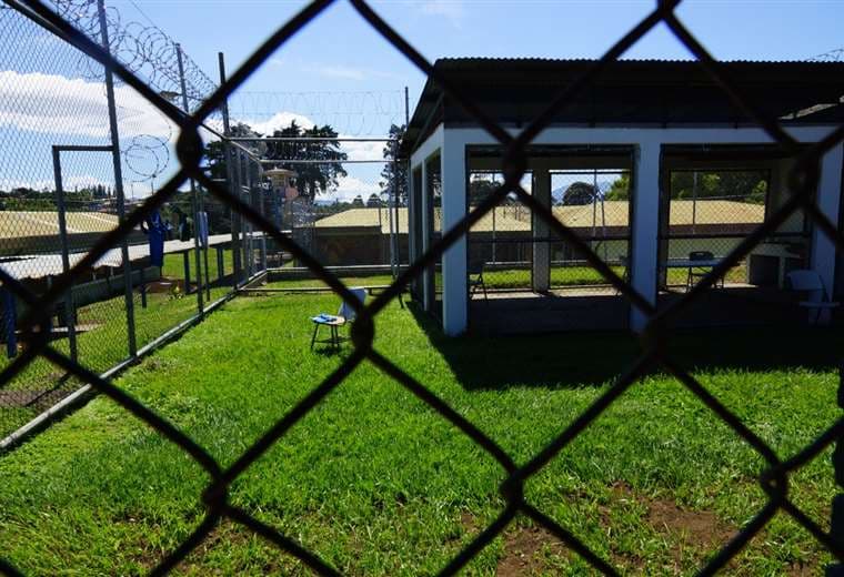 Archivo | Teletica.com