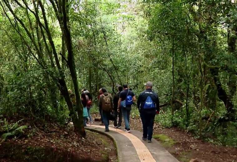 La Montaña Sagrada: un refugio para proteger agua y bosques del parque Juan Castro Blanco