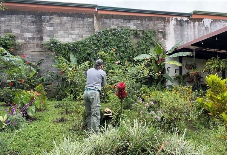 El jardín que salvó a don José: un paraíso secreto que nació del duelo y hoy ilumina Montes de Oca