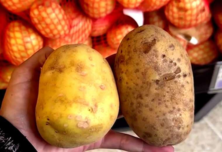 Comercios están obligados a diferenciar productos nacionales de importados