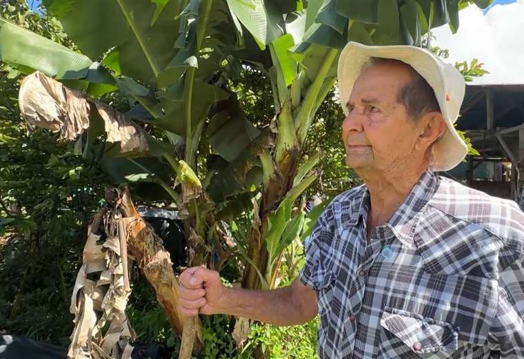 El guardián de la milpa: así vive Gebito, el agricultor que convirtió la tierra en su destino