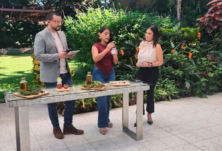 ¡Respire mejor! Tres expectorantes naturales para aliviar las vías respiratorias