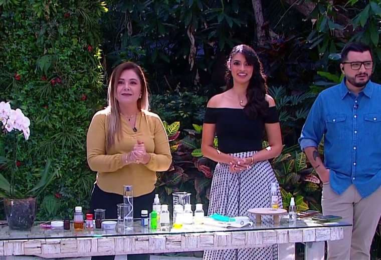 Recetas caseras para cuidar su cabello sin gastar de más