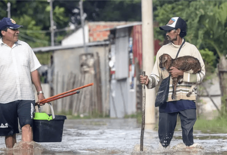 Imagen de Archivo /RODRIGO URZAGASTI/AFP