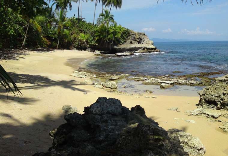 Museo Nacional de Costa Rica | Sitio web