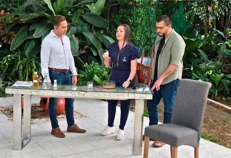 Olor a mascota en casa: cuándo es normal y cómo eliminarlo