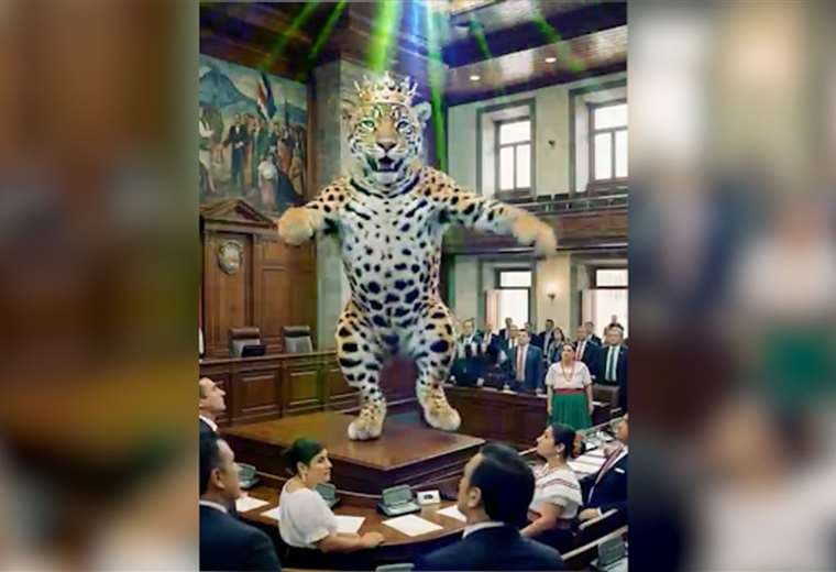 Video: Un jaguar bailando es el protagonista del nuevo ataque de Calzada contra el chavismo