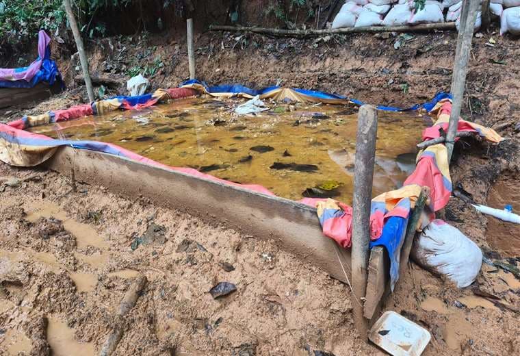 Fotos: Seguridad Pública