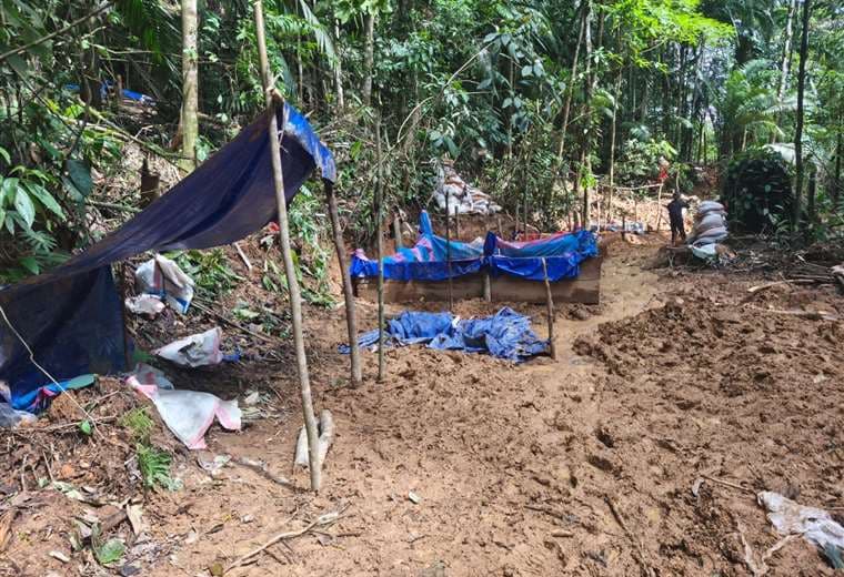 Fotos: Seguridad Pública