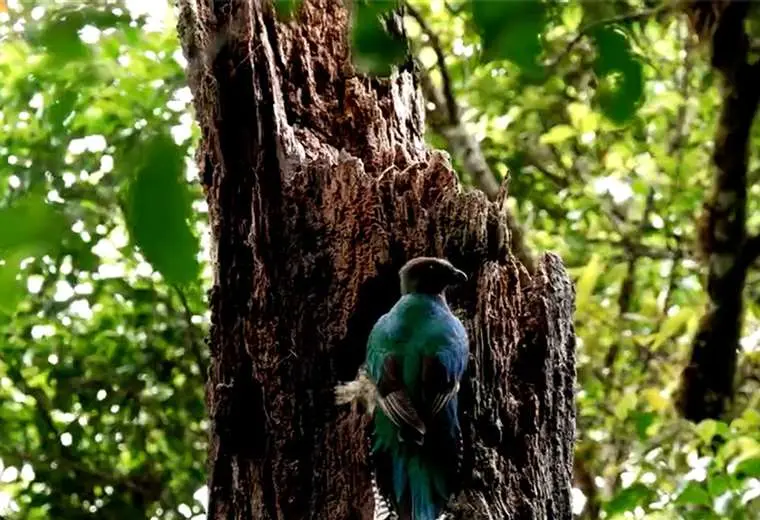 Conozca la historia de la mina de azufre que casi destruye el Parque Nacional del Agua