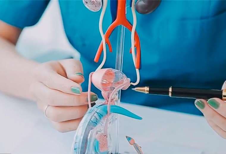 Cáncer de próstata es el más diagnosticado entre hombre en el país
