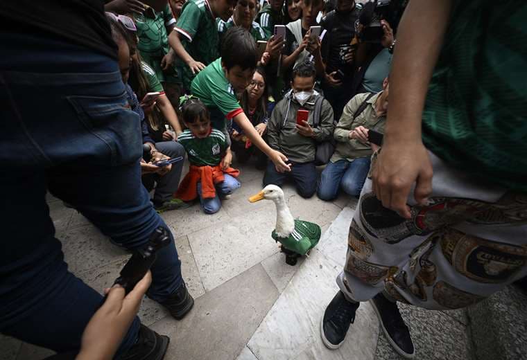 Pato Merlín, mascota no oficial de México para el Mundial 2026/AFP