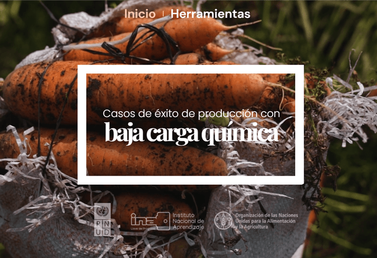Productores a toda escala exponen alternativas para disminuir plaguicidas