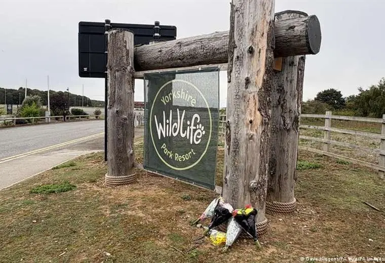 Muere un hombre tras saltar al recinto de los tigres de un zoo de Yorkshire
