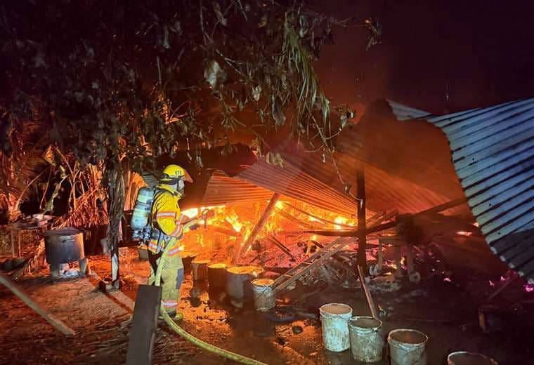Bomberos rescataron a 22 cerditos/Cuerpo de Bomberos