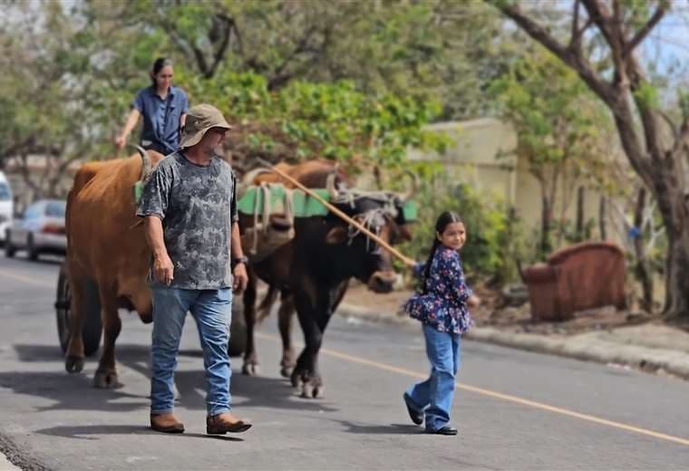 La carreta que aún resiste en Cañas y la familia que se niega a dejarla en silencio