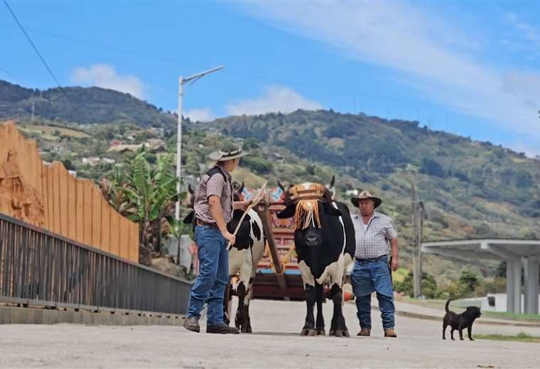 El boyero de Escazú que se niega a dejar morir una tradición y conserva una casa de adobe intacta