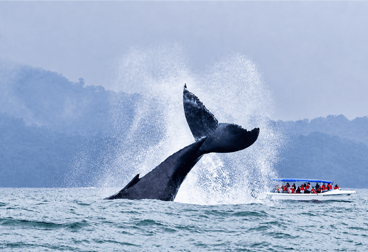 Instituto Costarricense de Turismo | Facebook