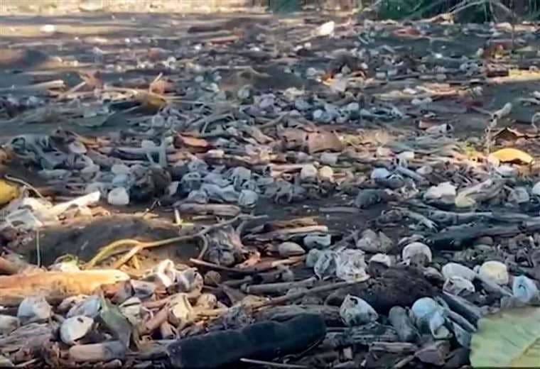 Miles de huevos de tortuga fueron arrastrados por fuerte oleaje en Ostional