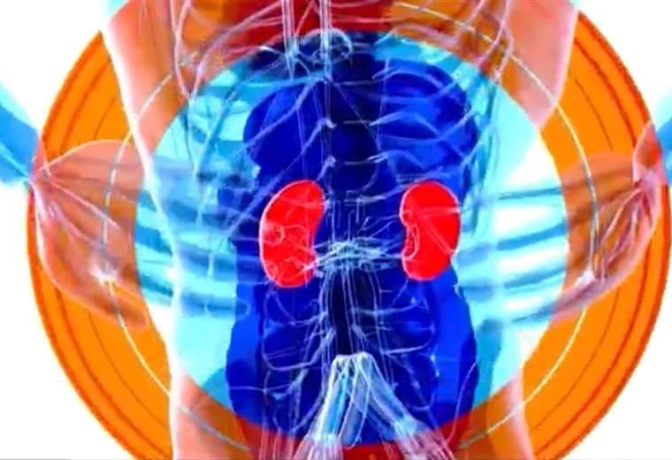 Diagnósticos de cáncer de riñón aumentaron 18% en un año