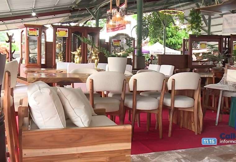 ¿Qué madera es mejor para sus muebles? Expertos explican qué debe tomar en cuenta