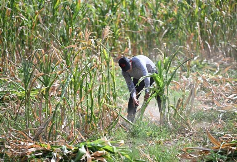Fenómeno El Niño El Salvador