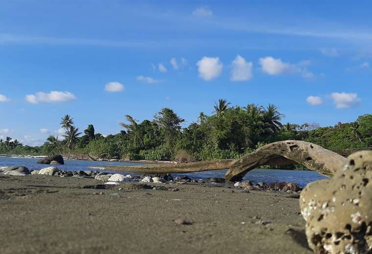Parque Nacional Corcovado